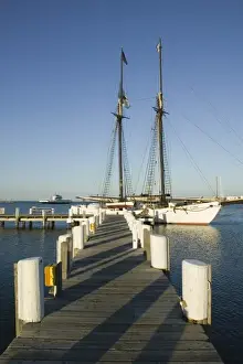 Images Dated 20th September 2006: USA, MASSACHUSETTS, Marthas Vineyard: Vineyard Haven, Vineyard Haven Harbor