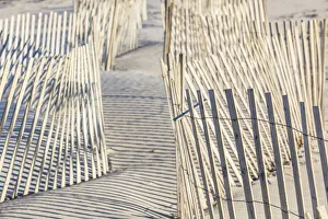 Nantucket Prints: USA, Massachusetts, Nantucket Island. Madaket. Madaket Beach, sand fence and shadows