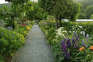 Images Dated 15th June 2007: USA, Massachusetts, Shelburne Falls. A view down the path across Shelburne s