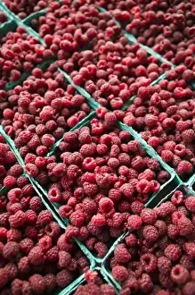 Edible Prints: USA, Michigan, Ann Arbor: Ann Arbor Farmers Market, Raspberries