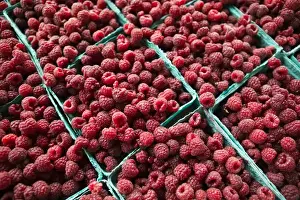 Images Dated 4th October 2006: USA-Michigan-Ann Arbor: Ann Arbor Farmers Market-Raspberries