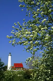 Images Dated 5th March 2009: USA, Michigan, East Tawas. Tawas Lighthouse with wild cherry trees in bloom