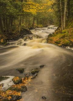 Silky Prints: USA, Michigan, Fall Colors, Stream