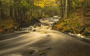 Natural Beauty Prints: USA, Michigan, Fall Colors, Stream