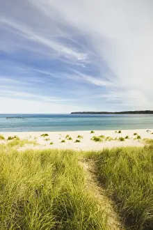 Grasse Prints: USA-Michigan-Lake Michigan Shore-Leelanau County-Glen Haven: Lake Michigan Beach