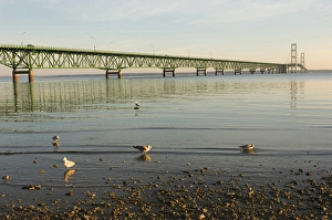 Images Dated 26th August 2005: USA, Michigan, Mackinaw City, Mackinac Bridge