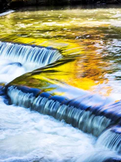 Upper Michigan Prints: USA, Michigan. Ottawa National Forest, smooth water reflecting fall foliage, Middle
