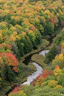 Overview Prints: USA, Michigan, Ottawa National Forest