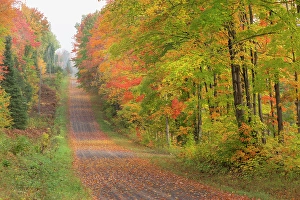 Michigan Prints: USA, Michigan, Ottawa National Forest