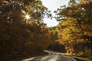 Leaves Prints: USA, Michigan. Sunlight streams through autumn foliage along a country road in