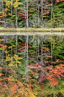 Thornton Lake Prints: USA, Michigan, Upper Peninsula, Thornton Lake reflections