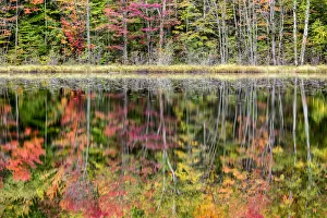 USA, Michigan, Upper Peninsula, Thornton Lake reflections