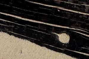Drift Wood Prints: USA, Michigan, Upper Peninsula, Charred driftwood in beach sand