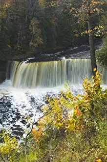 Images Dated 8th October 2006: USA-Michigan-Upper Peninsula-Tahquamenon Falls State Park: Tahquamenon Falls-third