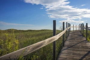 Boardwalk Prints: USA, Minnesota, Duluth, Park Point, Boardwalk over Dunes
