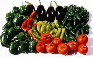 USA, Minnesota, Fall Harvest of Tomatoes, Peppers and Egg Plant