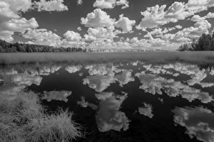 USA, Minnesota, Itasca State Park