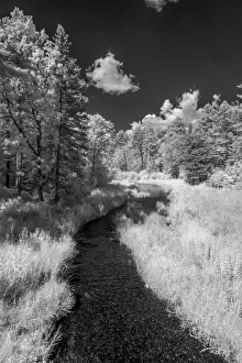 USA, Minnesota, Itasca State Park