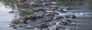 Images Dated 19th August 2016: USA, Minnesota, Itasca State Park