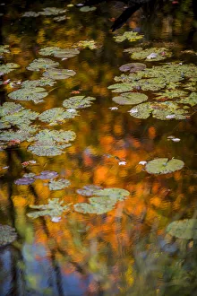 Images Dated 28th September 2017: USA, Minnesota, Itasca State Park
