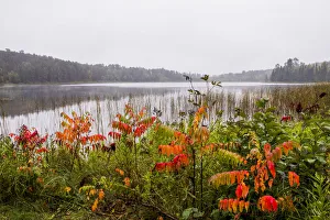 Images Dated 26th September 2017: USA, Minnesota, Itasca State Park