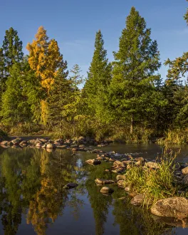 Images Dated 29th September 2017: USA, Minnesota, Itasca State Park