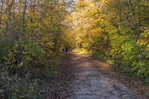 USA, Minnesota, Itasca State Park