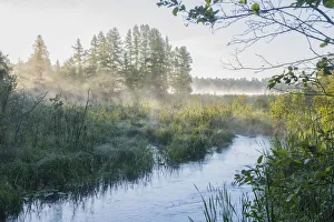 USA, Minnesota, Itasca State Park, Mississippi Headwaters