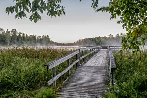 USA, Minnesota, Itasca State Park