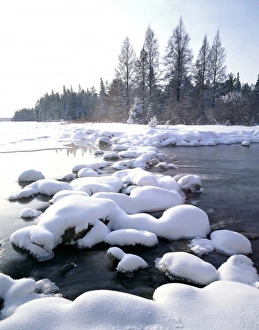Images Dated 11th February 2010: USA, Minnesota, Itasca State Park. Mississippi headwaters, winter