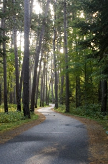 Images Dated 15th September 2005: USA, Minnesota, Itasca State Park, Wilderness Drive