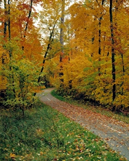 USA, Minnesota, Itasca State Park, Bike Path