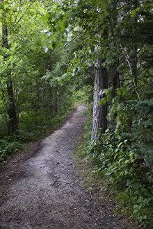 Images Dated 28th March 2021: USA, Minnesota, La Salle State Recreation Area