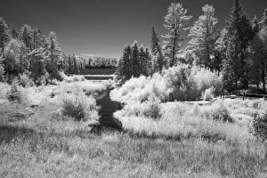 USA, Minnesota, La Salle State Recreation Area