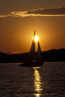 Images Dated 29th February 2008: USA, Minnesota, Sailboat Sunset Leech Lake