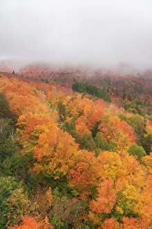 Minnesota Prints: USA, Minnesota, Superior National Forest