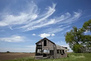 Silo Prints: USA, Minnesota, Welch, Abandoned farm and silo in prairie field on spring afternoon