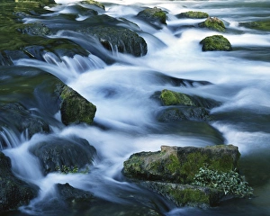Mossy Prints: USA, Missouri, Bennett Spring State Park, Mossy boulders in Bennett Spring