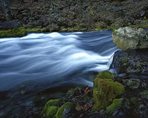 National Scenic Riverways Prints: USA, Missouri, Carter County, Ozark National Scenic Riverways, Big Spring