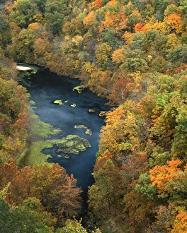 USA, Missouri, Ha Ha Tonka State Park, Fall forest and Ha Ha Tonka Spring