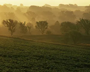 USA, Missouri, Holt County, Sunrise