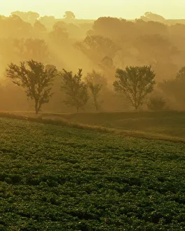 USA, Missouri, Holt County, Sunrise
