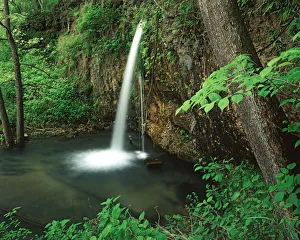 Images Dated 2nd June 2010: USA, Missouri, Mark Twain National Forest, Falling Spring