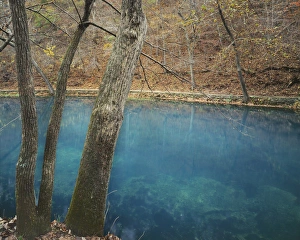 Ozark Prints: USA, Missouri, Meramec Spring