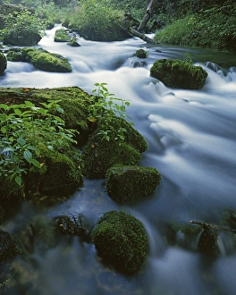 USA, Missouri, Ozark National Scenic Riverways, Greer Spring