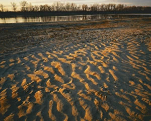 Natural Area Prints: USA, Missouri, Pelican Island Natural Area, Missouri River