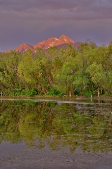 Mission Mountains Prints: USA, Montana, Allentown. Evening light of Mission Mountains reflected in small pond
