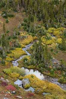 Landscape-Scenic Prints: USA, Montana. Autumn in Glacier National Park