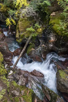 Landscape-Scenic Prints: USA, Montana. Avalanche Creek, Glacier National Park