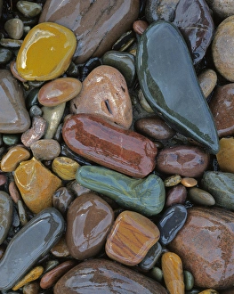 Pebble Prints: USA, Montana, Clark Fork River, Stones